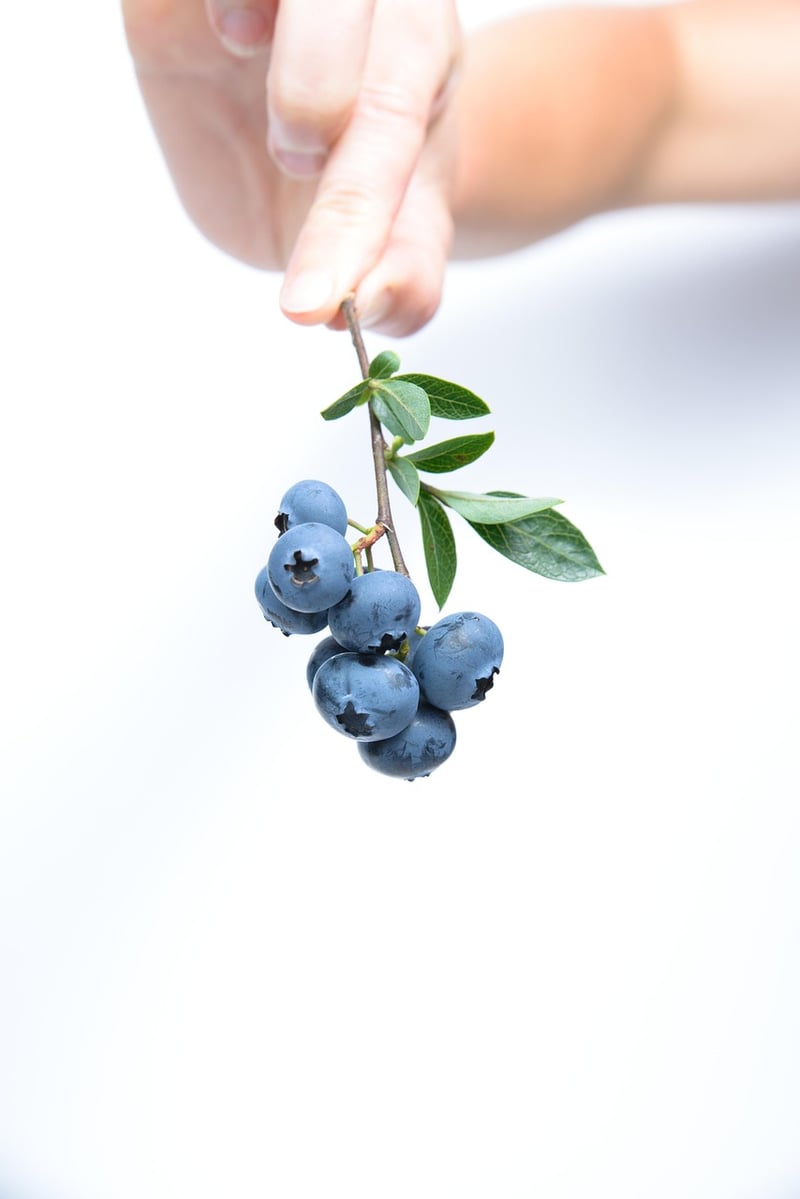 Fruit Picking