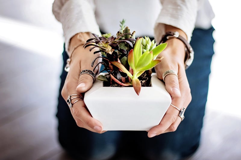 Repurposed Pot Image